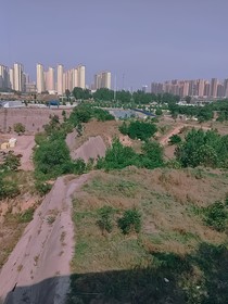 综影视之末药