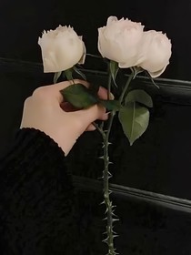 风起止意