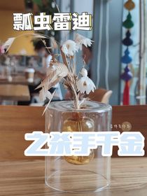 瓢虫雷迪：杀手千金