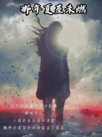 那年夏至未燃