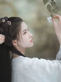 Hp：倾城倾姿的美人来自于东方