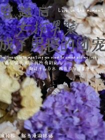 穿越后，女扮男裝成了男寢的團(tuán)寵