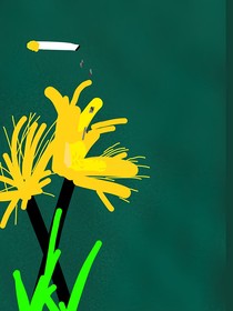 菊花配香煙——d868