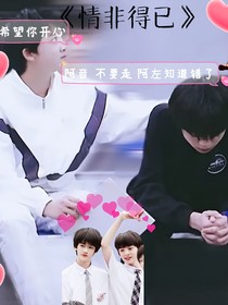 TF家族：情非得已