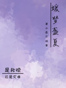媛夢盛夏