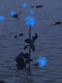 霞蔚