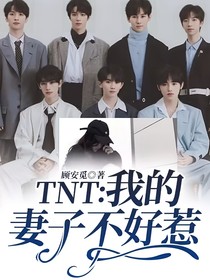 TNT：我的妻子不好惹