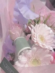 我和她（双女）