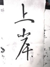 青春追随