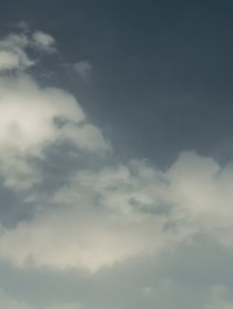 蝴蝶海的最后