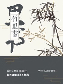 竹里书