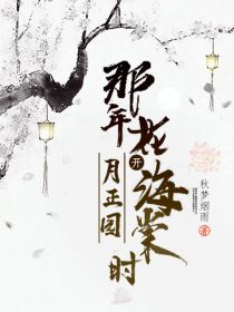 那年花开海棠时，月正圆