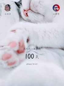 我與五塊錢的火焰藍朋友