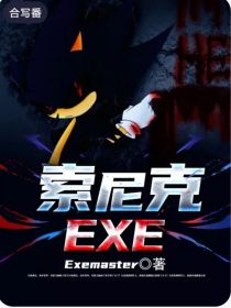 索尼克EXE