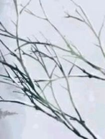 对不起，他是我的爱人