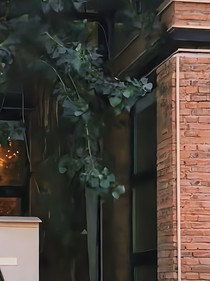 我是人嗎