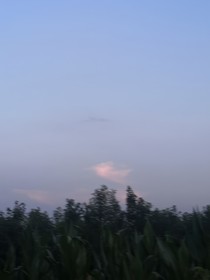 絕刻心動
