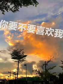 你要不要喜欢我？