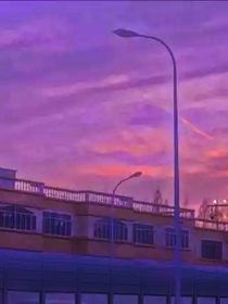 全明星：聽話的小孩沒糖吃