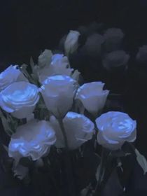 暮光暗戀
