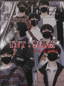 TNT：野蔷薇