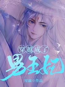 穿越成了男王妃！