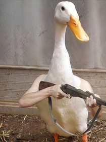 摸魚的文案