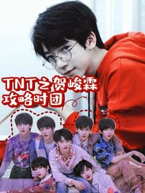 TNT之霖攻略时团