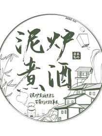 我与盗笔