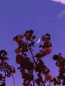 愿，怨