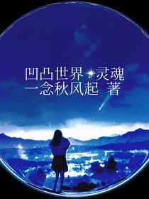 凹凸世界：灵魂