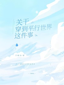 关于穿到平行世界这件事