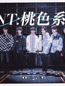 TNT：桃色系统