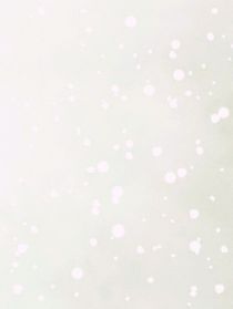 是你的寵愛