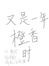 又是一年橙香时