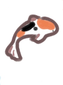锦鲤颂运