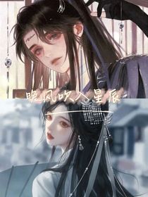 晚风吹入星辰
