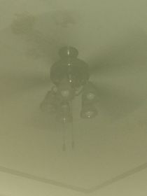 辣椒酱的初恋