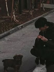 姜枝也甜：马嘉祺