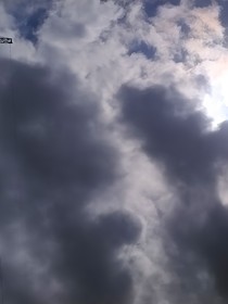 他与十七