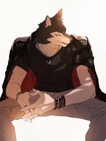 假面騎士狼