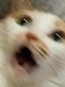 亂燉小故事