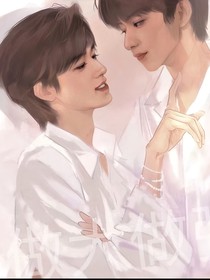 他和他對家