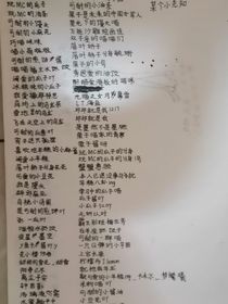 如果历史是一群喵之生日快乐