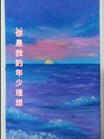 你是我的年少理想