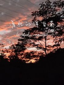 淮北的洋甘菊
