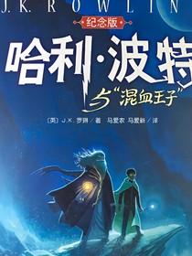 HP阅读体王子之谜