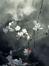 愿以景安道然为安祥