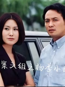 重案六組之楊季小甜文