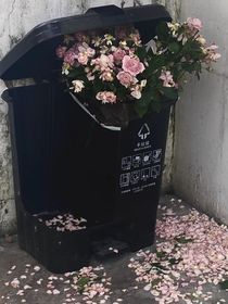 爸爸的遗产